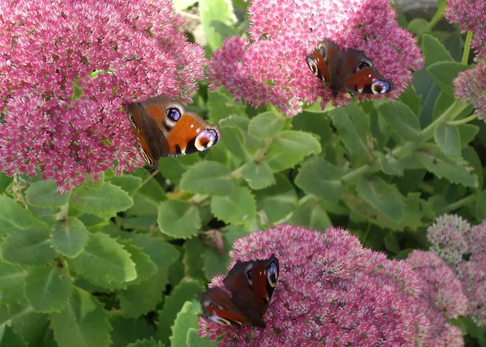 Feriehus Les Herbagettes